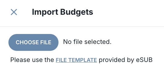 ImportBudgetTemplate.png